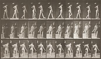 EADWEARD MUYBRIDGE (1830-1904) A selection of 4 plates from Animal Locomotion.